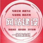 济南品牌网站建设设计