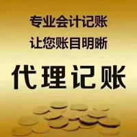 南召县代理记账报税公司